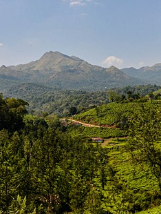 Wayanad