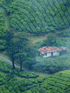 Munnar