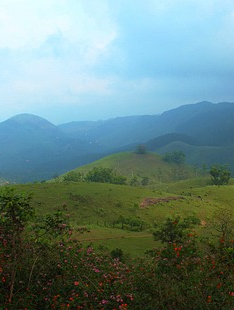 Vagamon