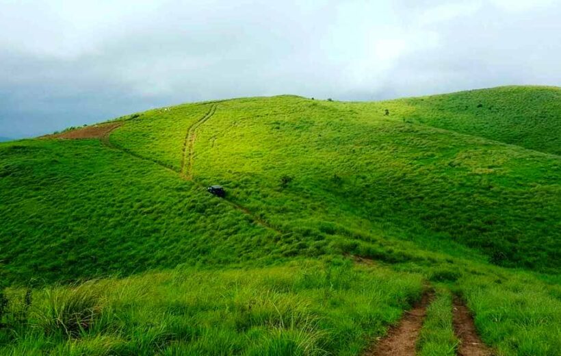 Thekkady & Vagamon- 3D/2N