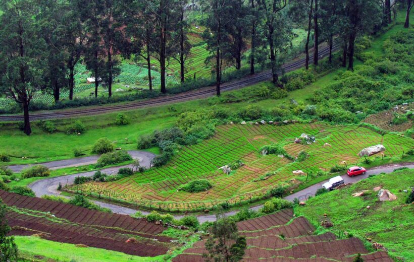 Majestic Ooty: The Queen of Hill Stations - 2D/1N