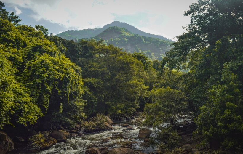 Wayanad - Nature's Wonderland - 3D/2N